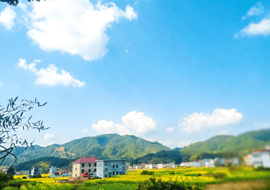 江西永新：春风染沃野 乡村入画来