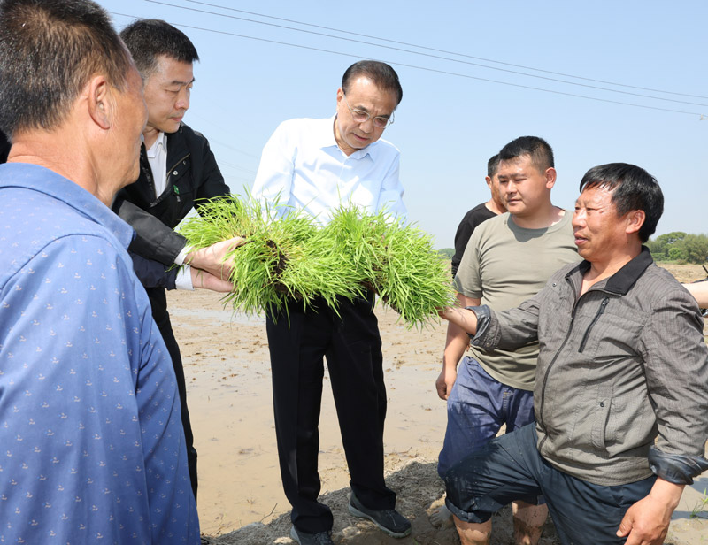 李克强：加快已定政策举措实施进度 稳定宏观经济大盘切实保障民生