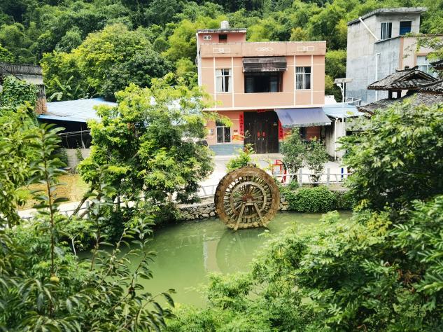 广西大新县板价村：传承民族文化 建设美丽乡村