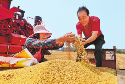 代表委员热议保障粮食安全| 饭碗一起端  责任一起扛