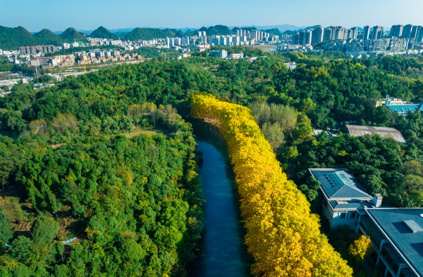 贵阳花溪：赏景正当时 醉美秋色已上线