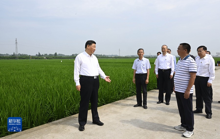 习近平：在新的征程上奋力谱写四川发展新篇章