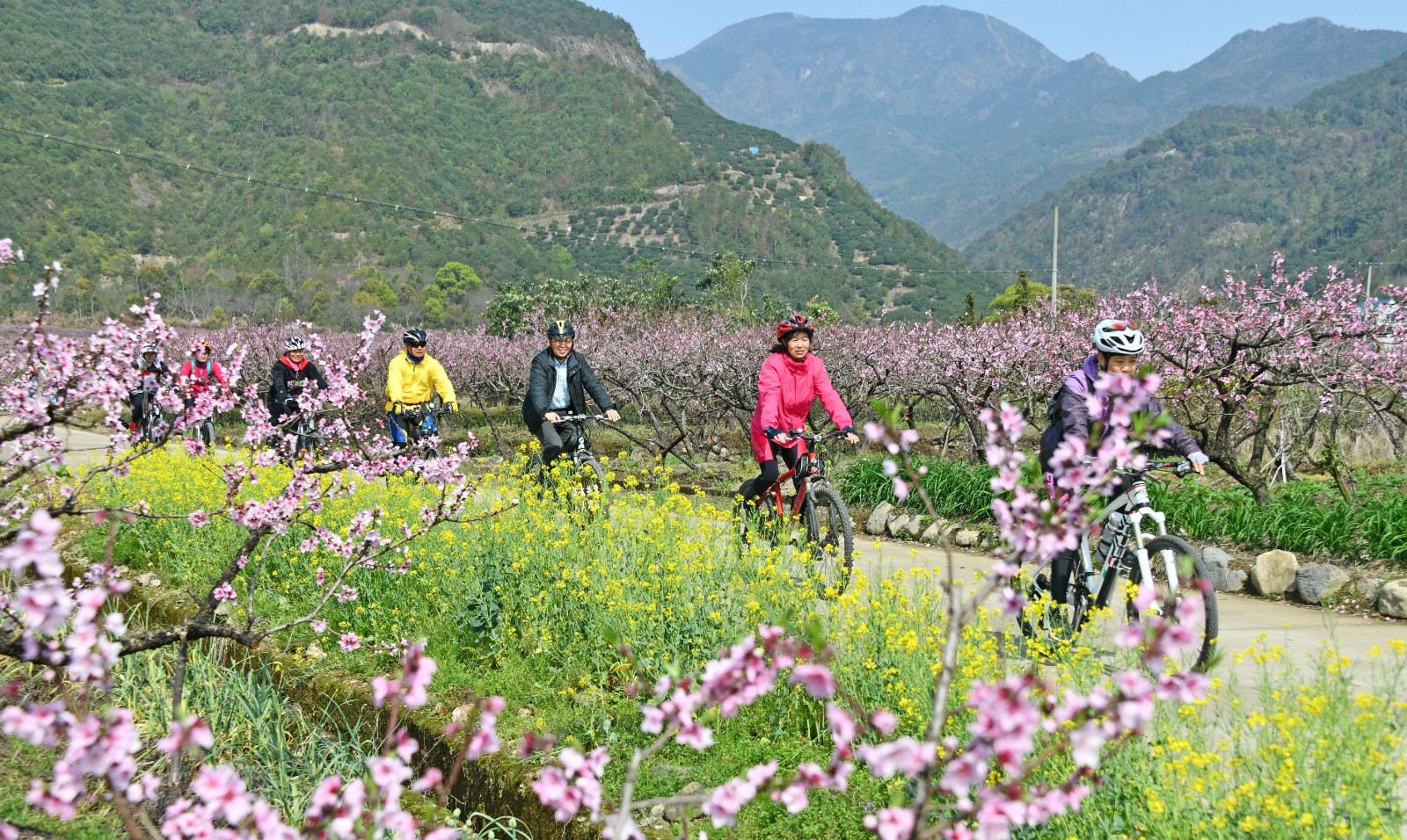 浙江省临海市白水洋：桃花笑春风 游人踏青来