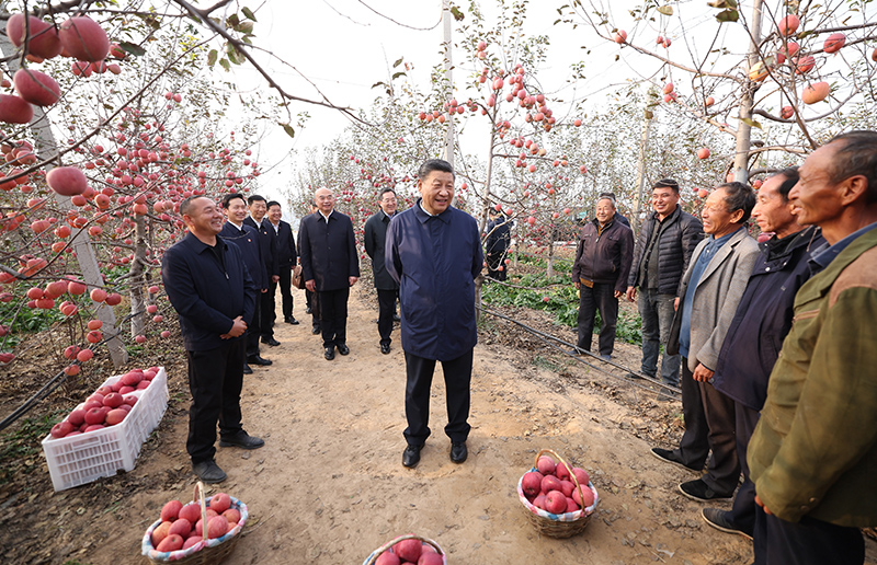 习近平在陕西延安和河南安阳考察时强调：全面推进乡村振兴