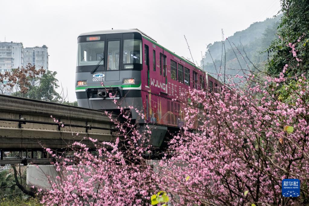 开往春天——山城“花海列车”上线