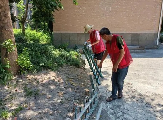 杭州建德洋溪街道：社区治理精细化 服务群众零距离