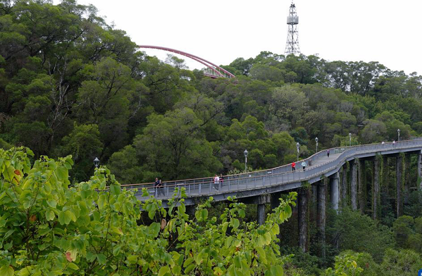 福建福州：打造慢行步道系统 提升居民幸福感