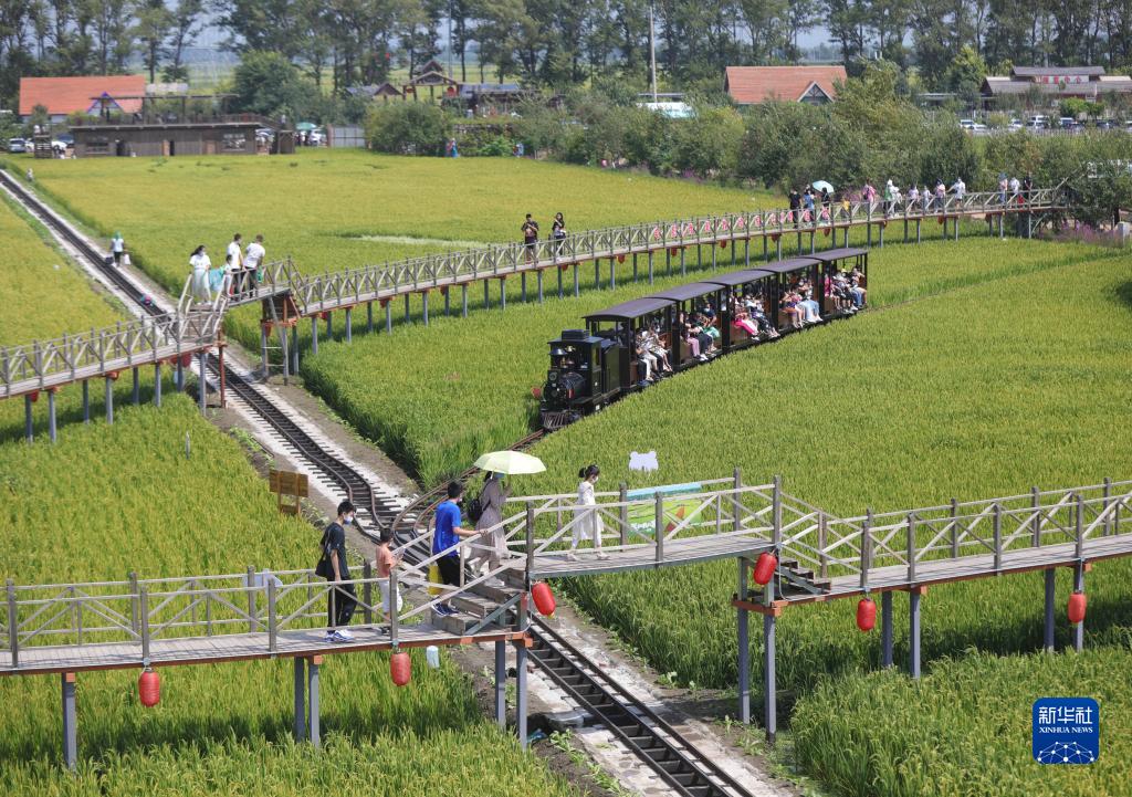 辽宁沈北： 绘制乡村振兴新图景 助力农民增收